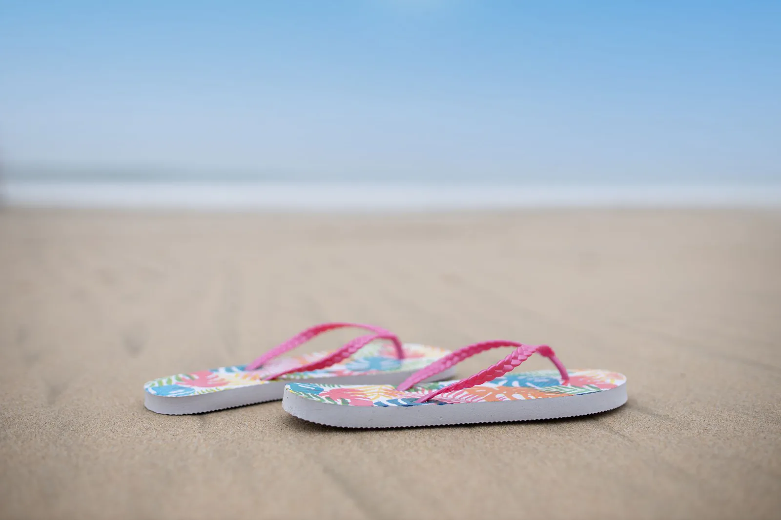 Colorful Derrick Dion flip-flops — refer a business and earn a $50 gift card